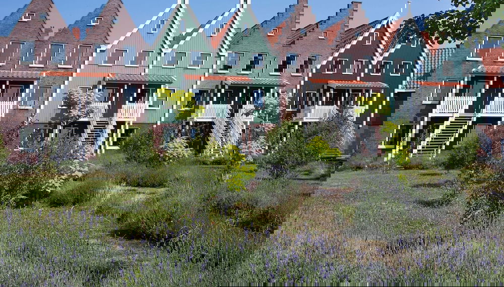 Imagem principal