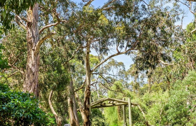 Groovy Log House Lorne Ocean View Log House Pet Friendly Freshly Renovated - Foto 14