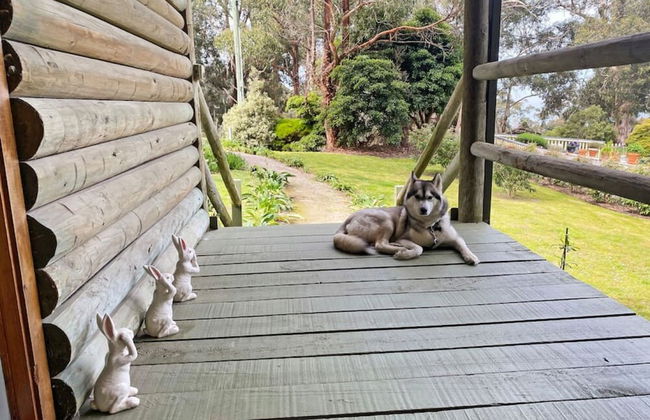 Groovy Log House Lorne Ocean View Log House Pet Friendly Freshly Renovated - Foto 18