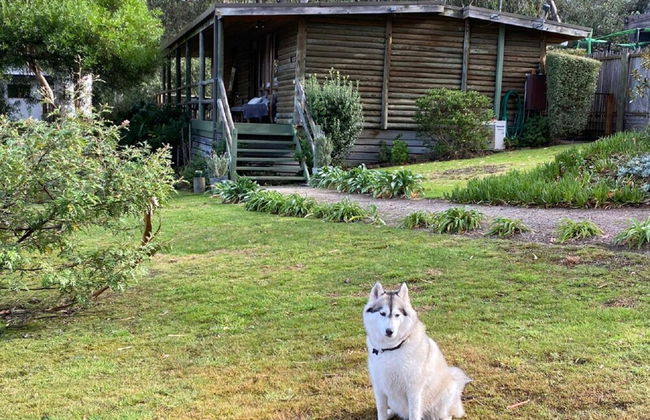 Groovy Log House Lorne Ocean View Log House Pet Friendly Freshly Renovated - Foto 19