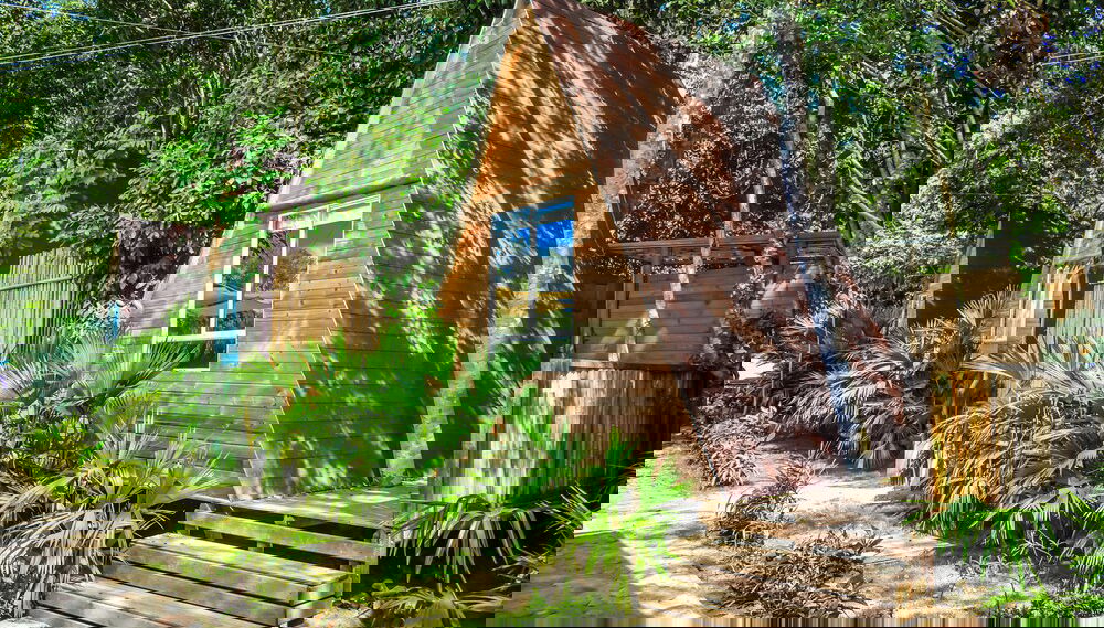 Image principale