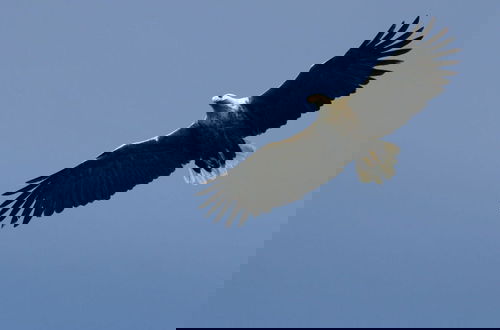 Foto 15 - 