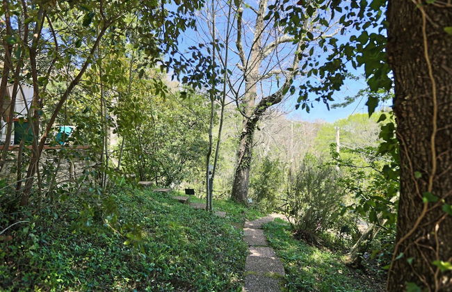 Casa Vacanze a Sassetta con Giardino - Foto 23