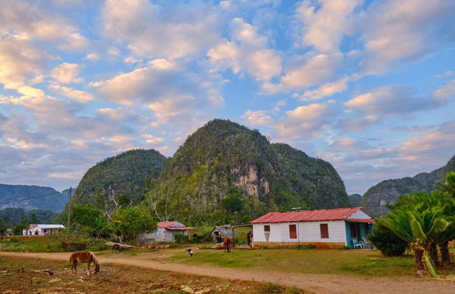 Villa El Mamey en Viñales con Wi-Fi - Foto 24