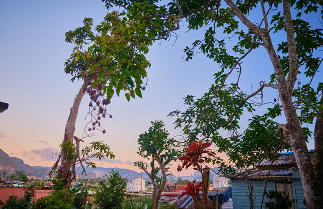 Villa El Mamey en Viñales con Wi-Fi - Foto 10