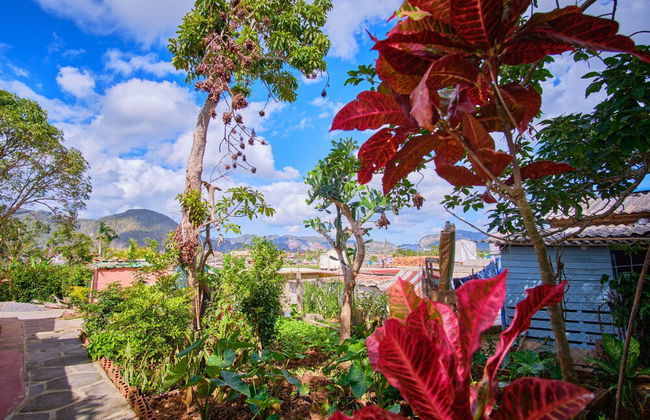 Villa El Mamey en Viñales con Wi-Fi - Foto 32