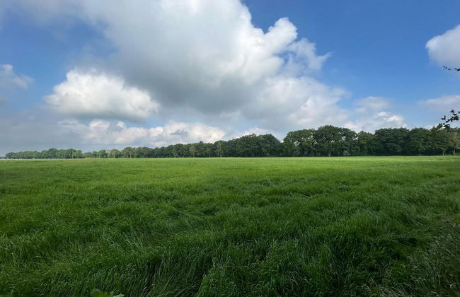 Holiday Home in Zelhem Near Forest and Golf - Foto 39