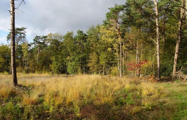Holiday Home in Zelhem Near Forest and Golf - Foto 37