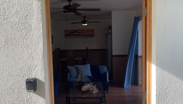Receção
