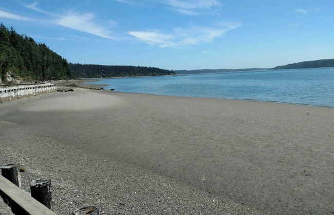 Harbor View Haven by Avantstay Private Backyard - Foto 31