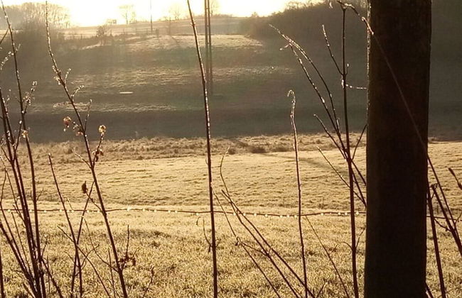 Holiday Apartment Lautertalblick - Foto 4