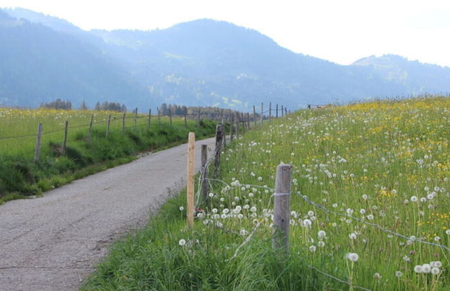 Nice Holiday Apartment in Fischen - Foto 30