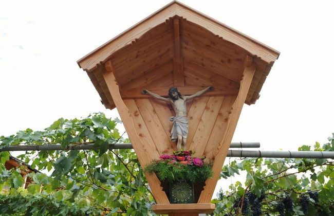 Lagrein in the Prantenbergergut - Foto 8