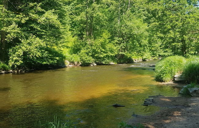 Appealing Apartment in Grafenau - Photo 15