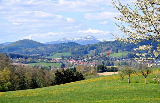 Appealing Apartment in Grafenau - Photo 22