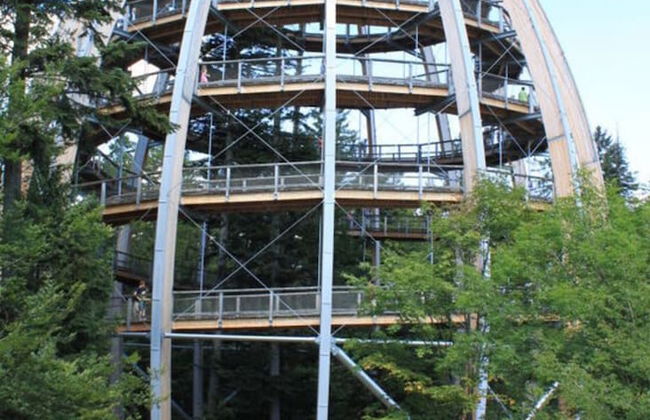 Appealing Apartment in Grafenau - Photo 24