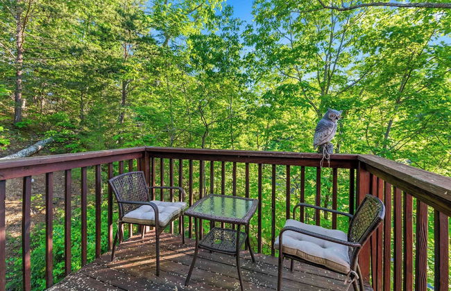 Rustic 3br Cabin Near Lake w/ Hot Tub! - Photo 46
