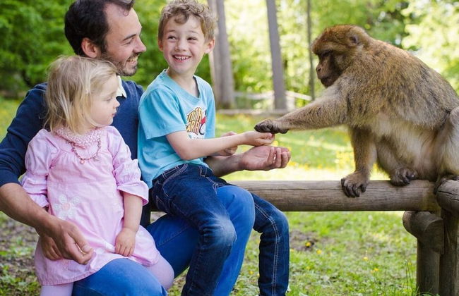 Cheerful Apartment in Uhldingen - Foto 11