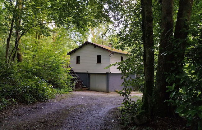 Chalet Vogelzang in the Ardennes - Foto 22