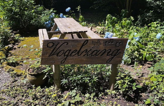 Chalet Vogelzang in the Ardennes - Foto 17