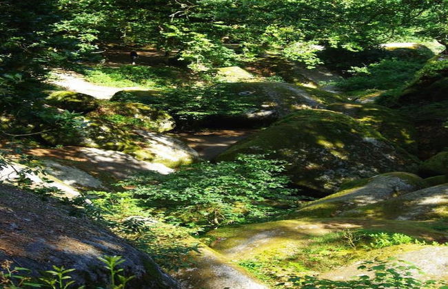 Cosy Holiday Home in Huelgoat With Terrace - Foto 40