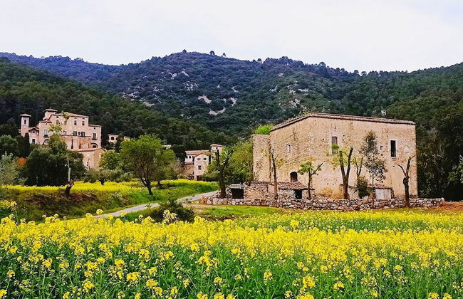 El Castell de Segueró - Foto 12