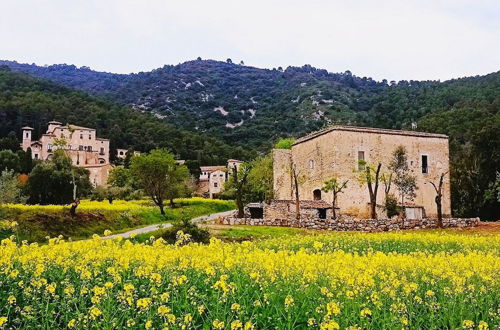 Foto 12 - El Castell de Segueró