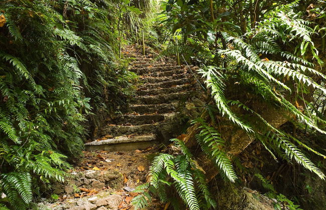 Eden on the River - Photo 38