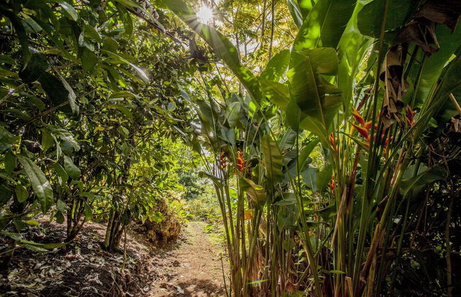 Eden on the River - Photo 39