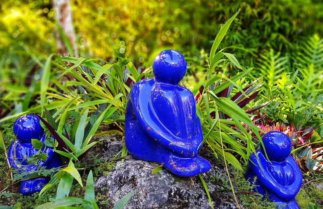 Eden on the River - Photo 37