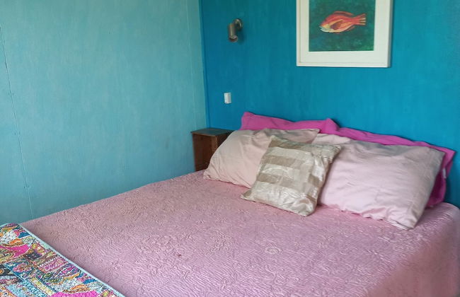 Eden on the River - Photo 4