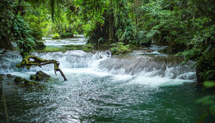 Photo 1 - Eden on the River