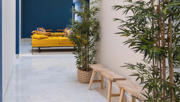 Entrada (vista interior)