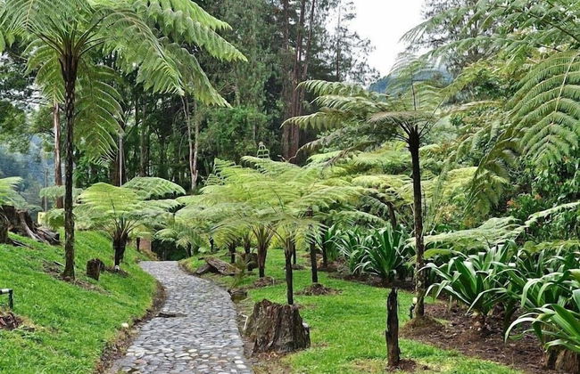 Avalon Hotel Campestre en Jardin - Foto 43