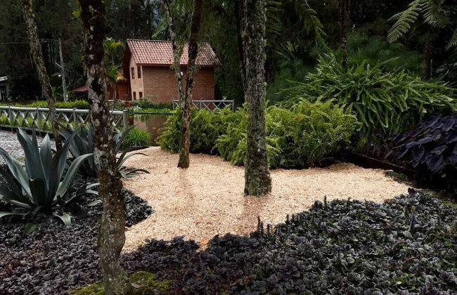 Avalon Hotel Campestre en Jardin - Foto 35