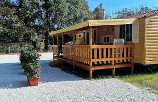 Foto 1 - Comfortable Campsite-chalet G12 Tuscany Near sea