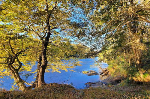 Photo 9 - Ranch Home w/ Front Porch on Etowah River