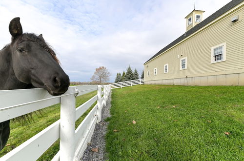 Photo 25 - Unique Stay: Finger Lakes Converted Horse Barn