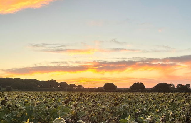 Tuscan Villa 5mins From Beach, Sleeps 8, ev Point - Foto 23