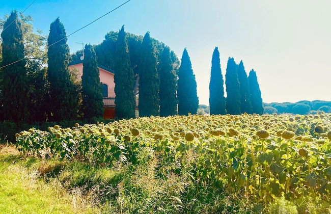 Tuscan Villa 5mins From Beach, Sleeps 8, ev Point - Foto 21