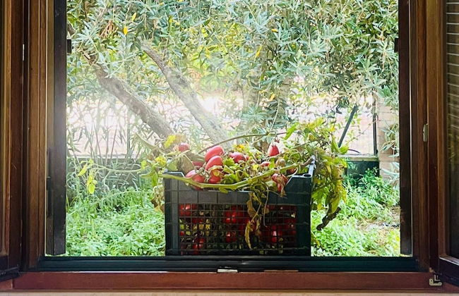 Tuscan Villa 5mins From Beach, Sleeps 8, ev Point - Foto 27