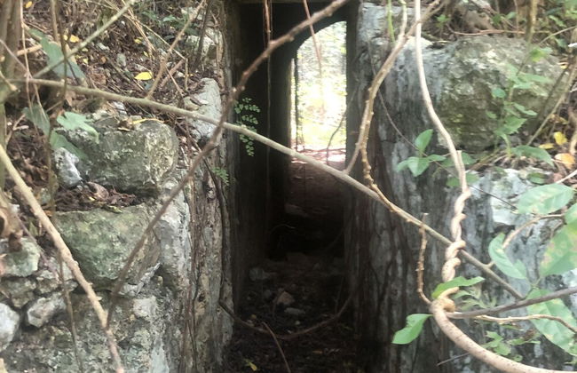 The Belair - Foto 35
