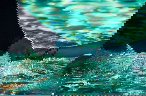 Foto 77 - Knoll Shoal Cornwall