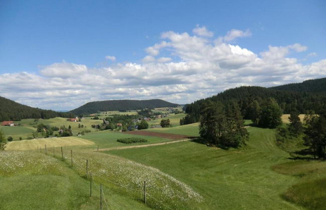 Wohnung in Lauterbach Nahe Skipisten - Foto 33