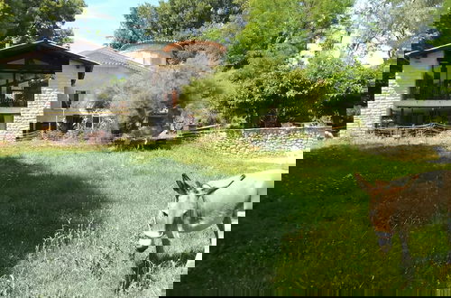 Foto 72 - Les Favouilles le gîte