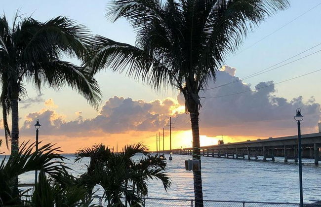 5 Beautiful 4 Bed 3 Bath Pool Home w Free Dock - Photo 32