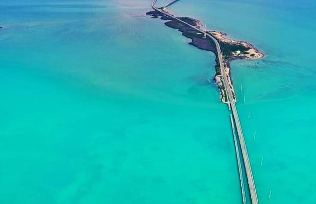 5 Beautiful 4 Bed 3 Bath Pool Home w Free Dock - Photo 41