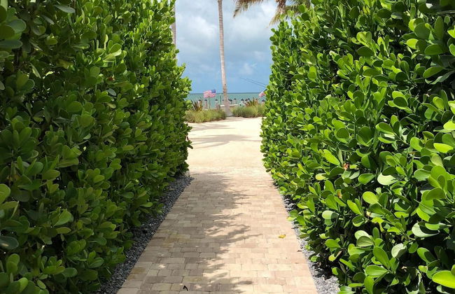 5 Beautiful 4 Bed 3 Bath Pool Home w Free Dock - Photo 6