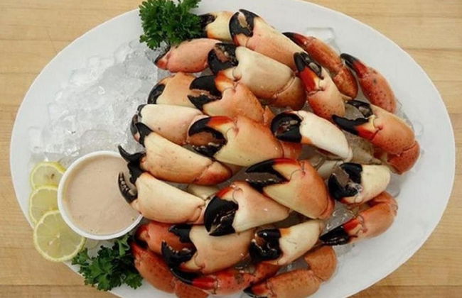 5 Beautiful 4 Bed 3 Bath Pool Home w Free Dock - Photo 34