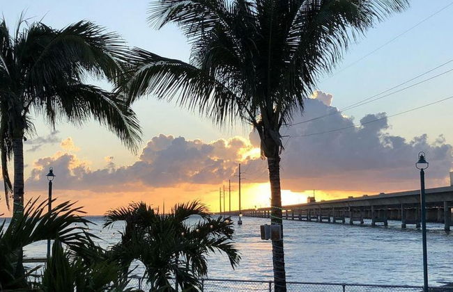 4 Beautiful 4 Bed 3 Bath Pool Home w Free Dock - Photo 32